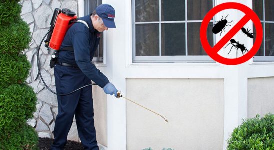 Tefenni Bit İlaçlama böcek ilaçlama ve haşere kontrolü — ilaclama-tr.com